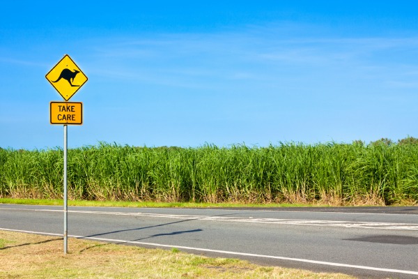 Australia road sign